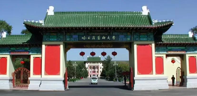 广西捡漏公办本科,广西2021年330分捡漏民办二本