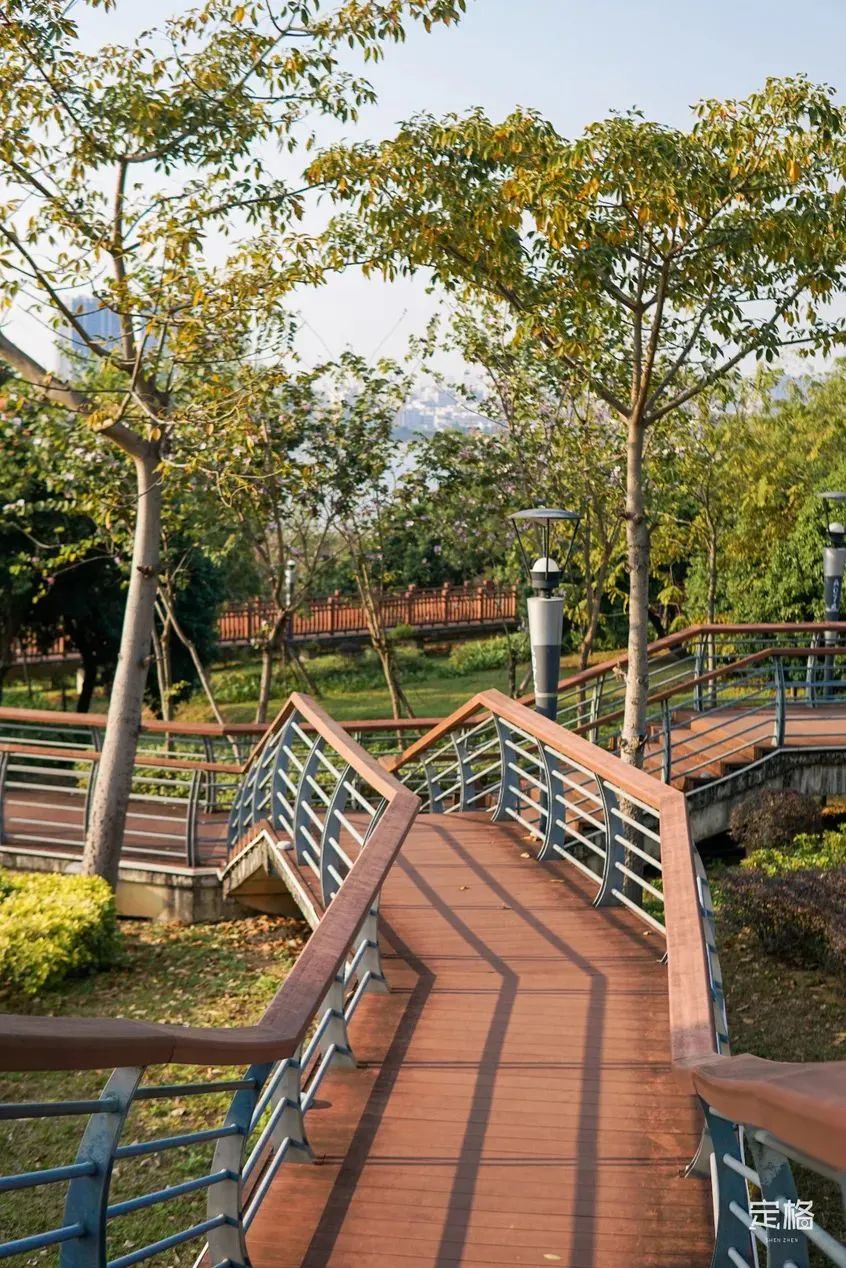 深圳地铁五号线十号线游玩地点,深圳地铁12号线最新最全线路图