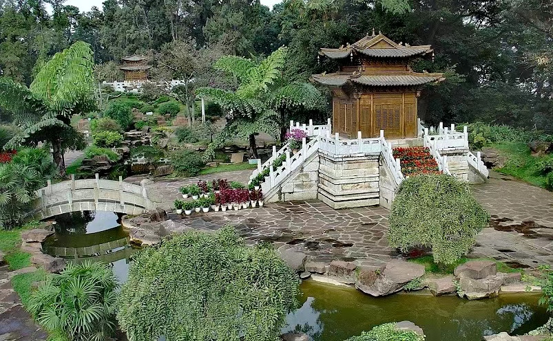 昆明旅游必去十大景点有哪些,昆明市区必玩旅游景点排名前十