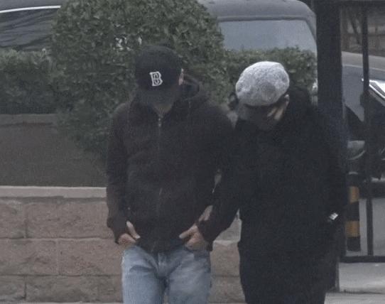 王菲谢霆锋最新官方真实消息,王菲谢霆锋最新消息新闻