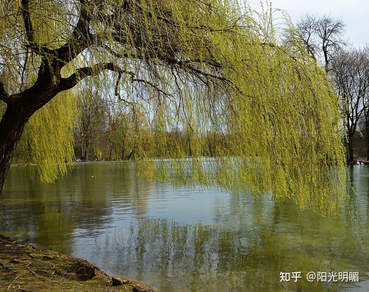 古诗词飞花令南字,古诗词大赛飞花令春