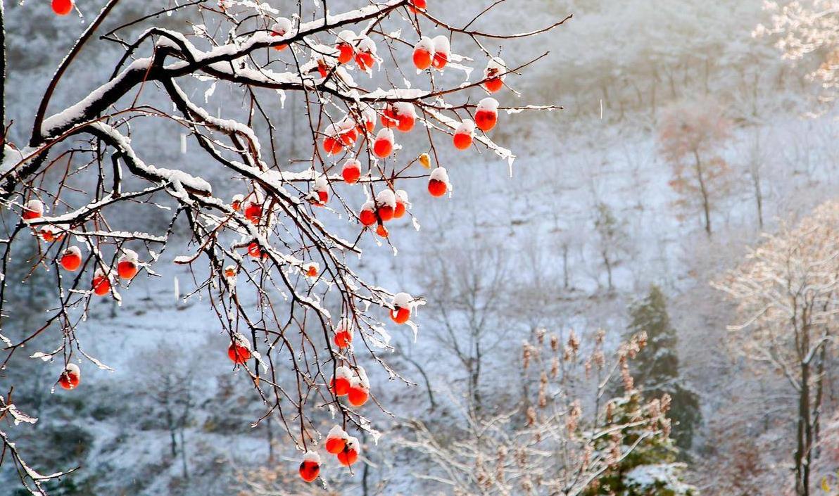 11月7日立冬天气,立冬节气冷不冷
