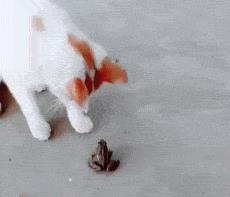 塞进去容易拔出来难,妹子着急死了哈哈哈哈哈哈！真的尴尬啊