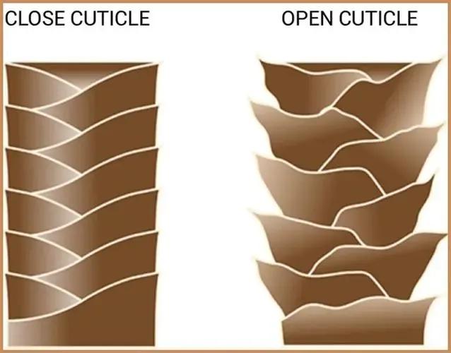 干枯毛躁的头发用什么护发,头发干枯毛躁头油多用什么护发素