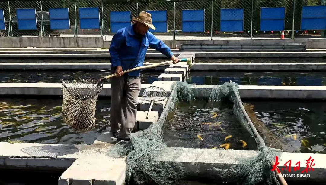 借助资源优势，灵丘、天镇依山傍水发“渔”财