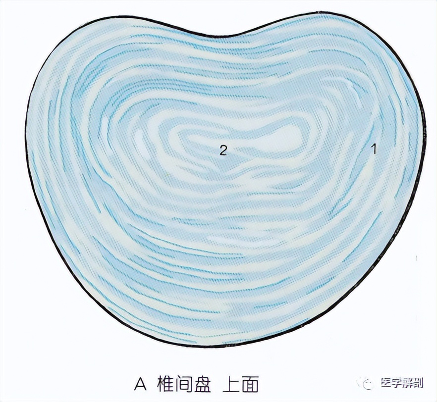 椎间盘突出膨出脱出如何治疗最好,椎间盘突出图怎么看