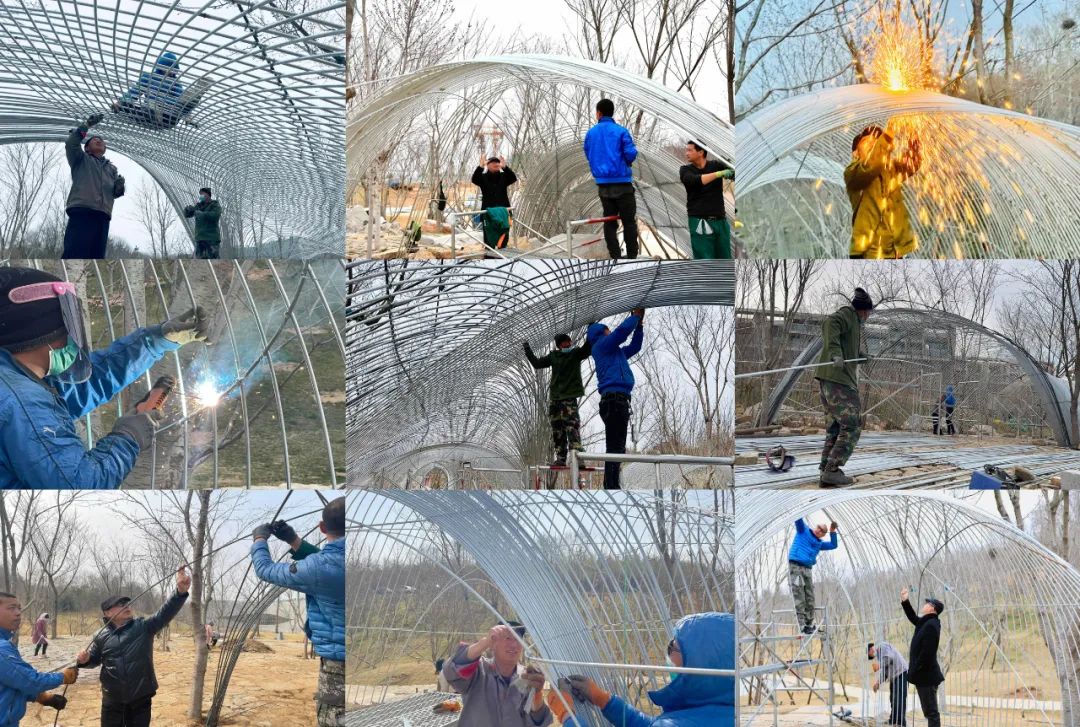 樱花树下的四年,樱花树下4