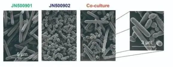 都是粮食为什么酿造的酒不同,都是粮食酒为什么价格区别那么大