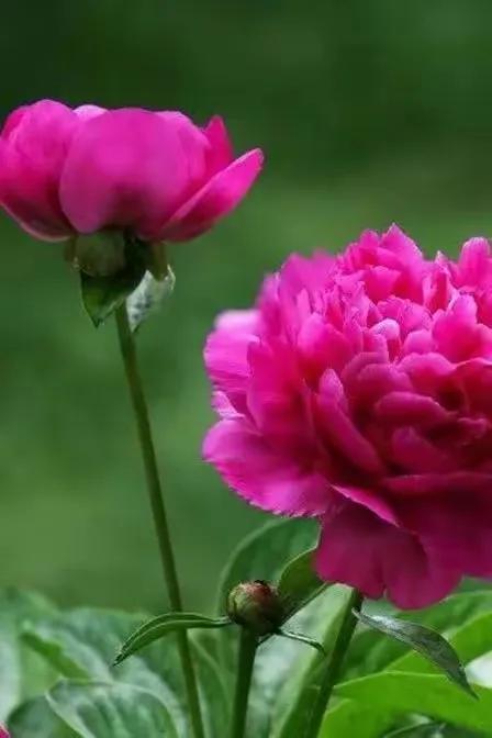 高考终极押题100句,2022高考励志语高考必胜