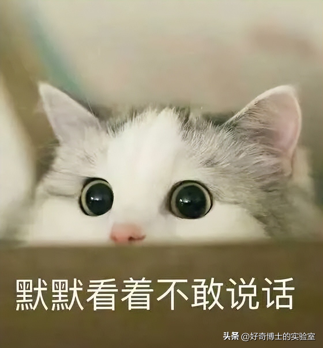 女生为什么一定要学会做饭,女生为什么一定要学会做饭做家务