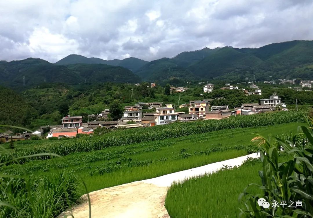 龙门乡光映村：“三把尺子”作“引擎”干事为民立“标杆”