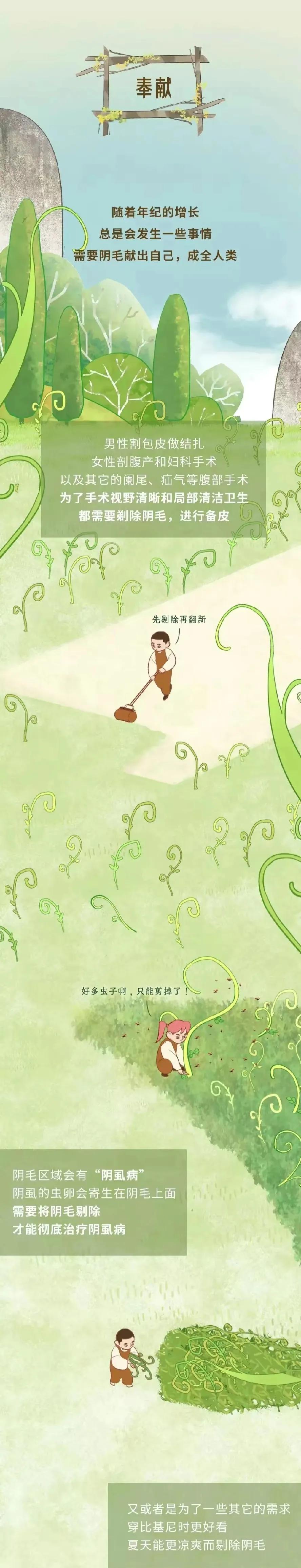 漫画分享：人类阴毛从出生到脱落全过程解析！