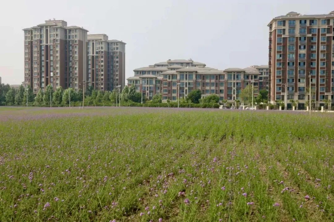 解锁乡村致富密码,想知道发财的秘密吗