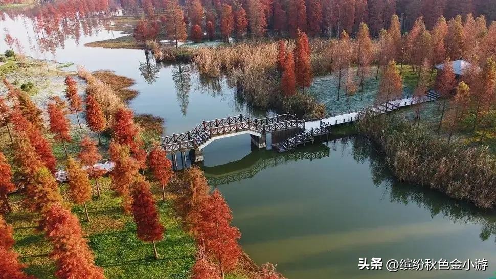 上海免门票十大必游景点,上海免门票旅游景点推荐