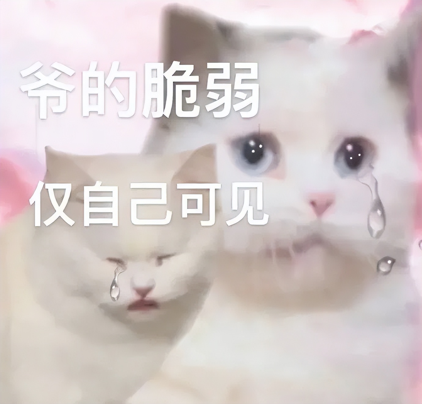 健身房销售五大套路合集,你不会刚好都遇过吧