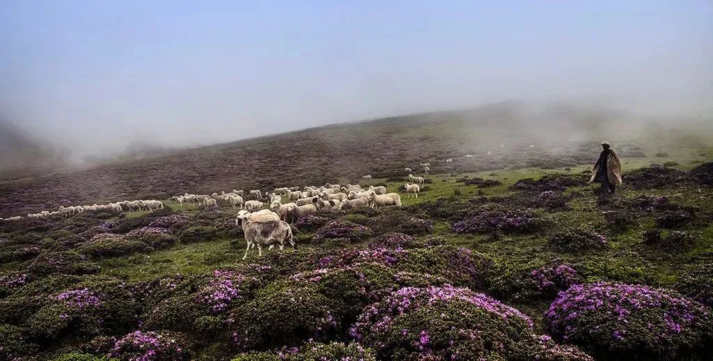 昭觉美姑,美姑路况