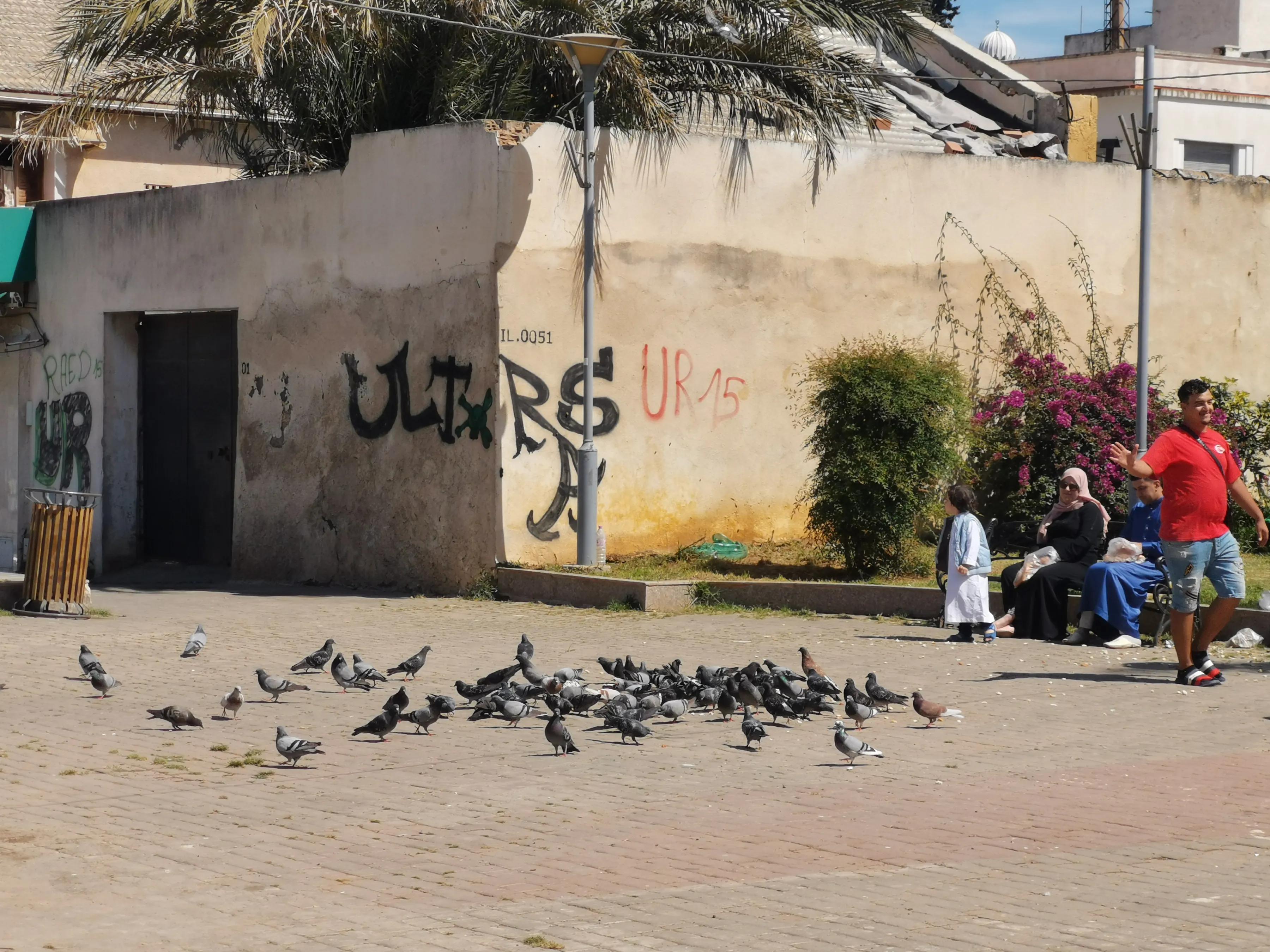 阿尔及利亚可以这样美