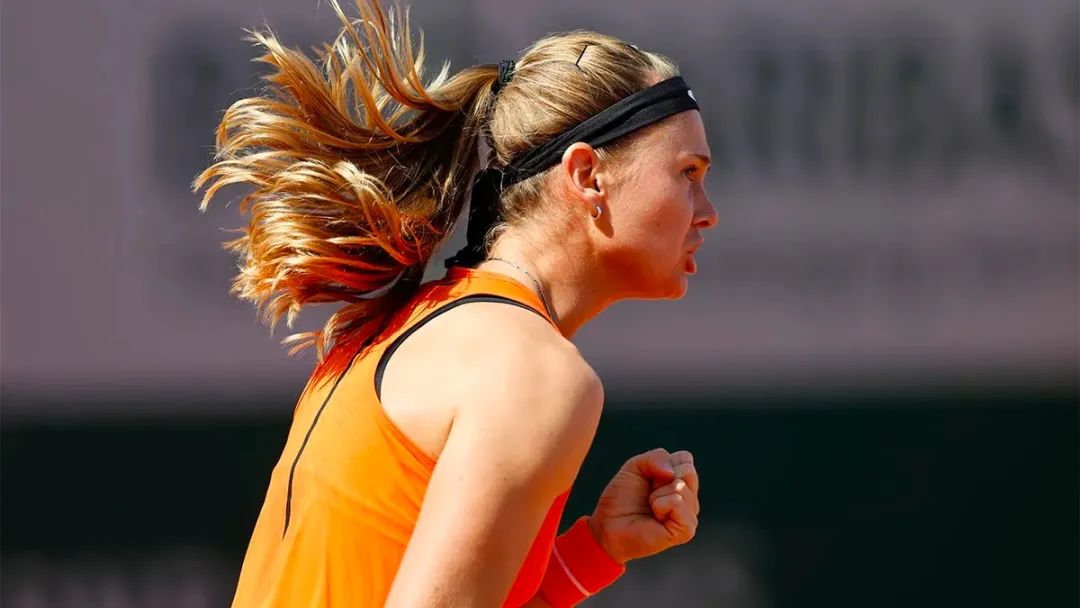 法网最新案件消息,法网的真实事件