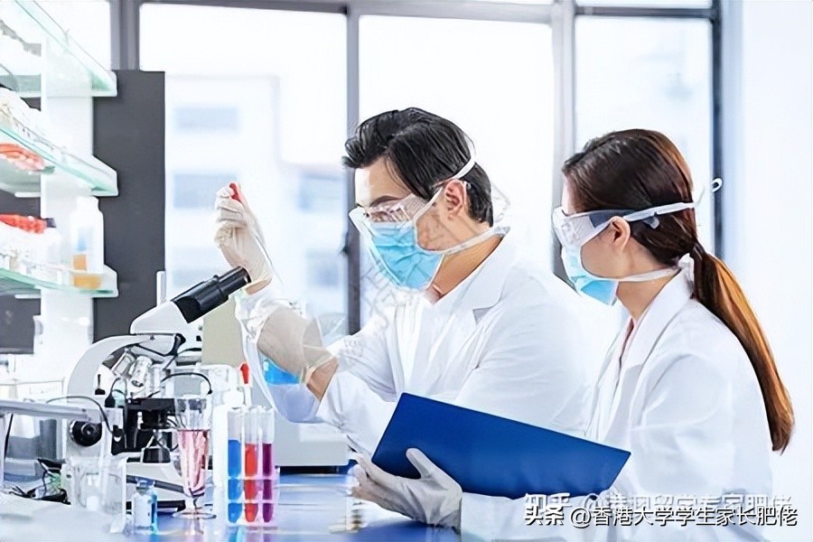 香港医科大学专业排名一览表 (香港留学医学类专业有哪些)