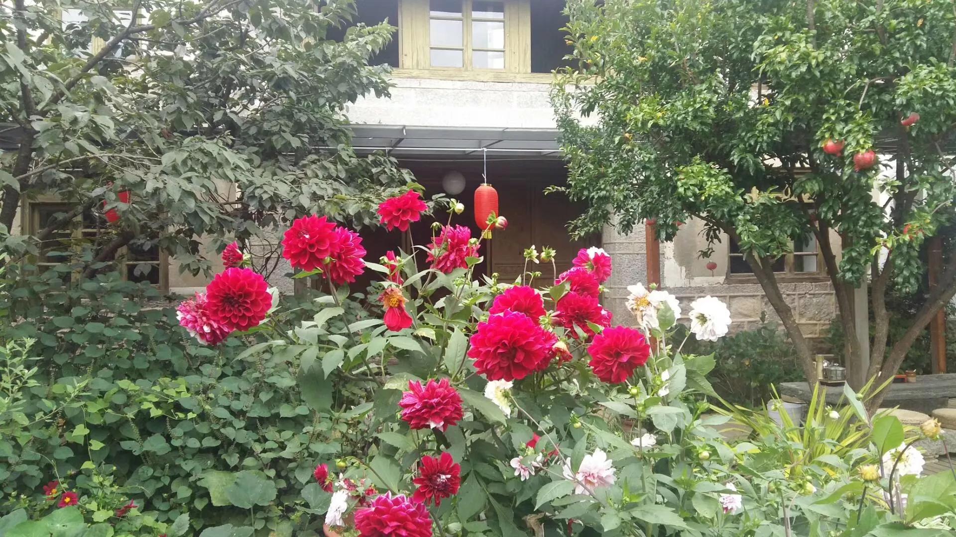 五毒缠身,五毒是怎么驱赶的