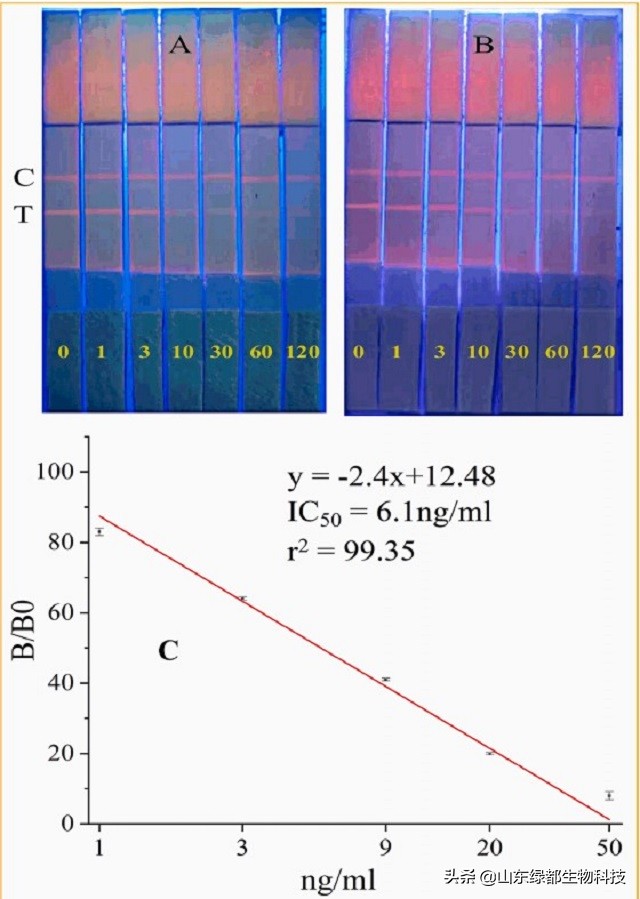 山东绿都武玉香博士创新团队研究的鉴别地沟油论文在国际期刊发表