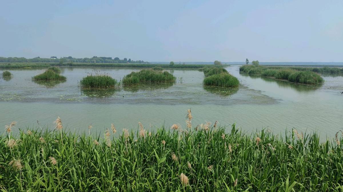 进淄赶烤一路飘香,进淄赶烤风雨无阻