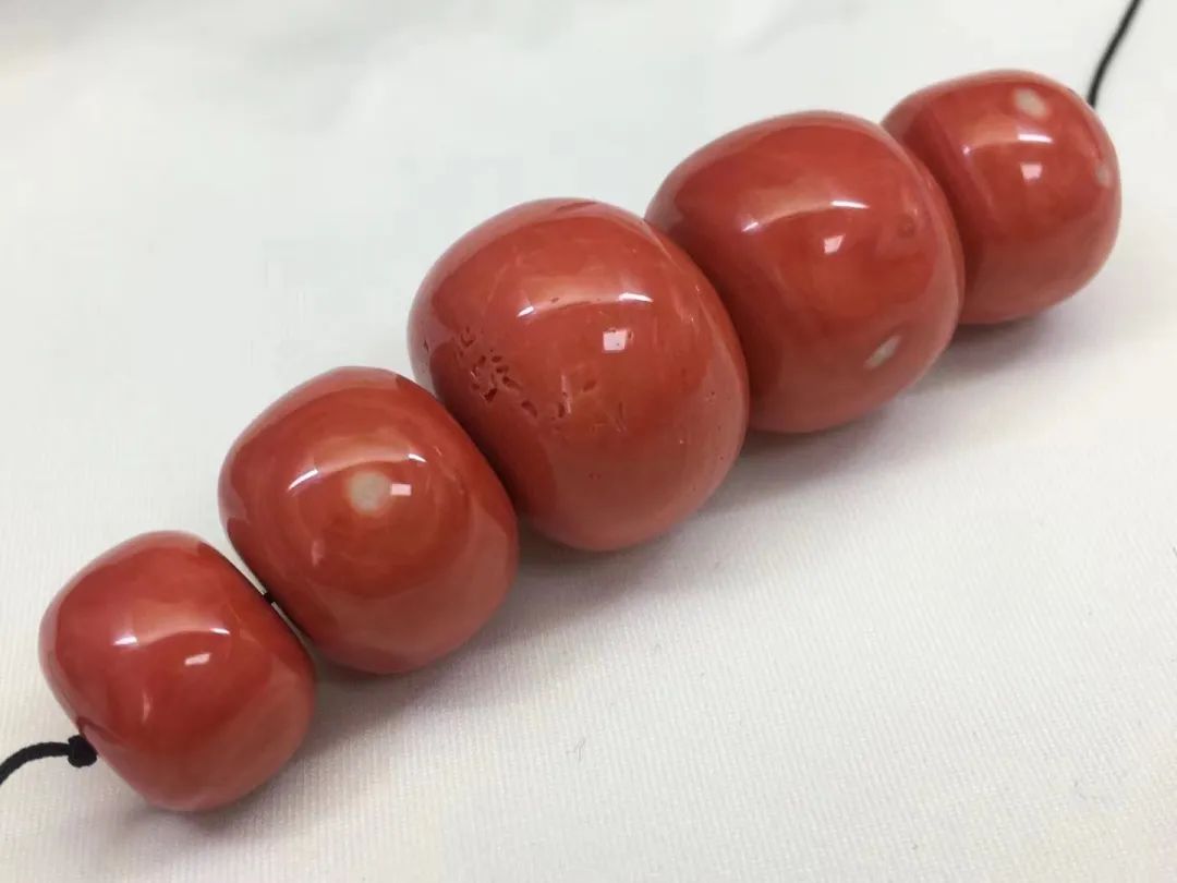 红珊瑚是深海中的千年灵物,深海精灵红珊瑚的万般风情