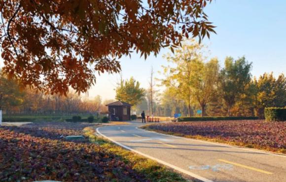 潍坊恒信建设集团标语,潍坊恒信建设集团位置