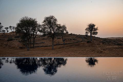 哈伊马角利兹卡尔顿,哈伊马角沙漠丽思卡尔顿酒店