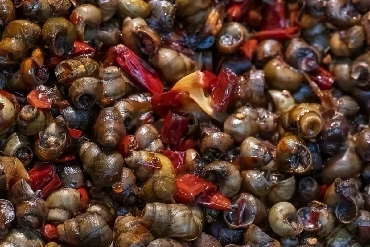 吃了一盘菜,孕妇流产男童患脑炎!毒性超强的这种螺,你却还在吃