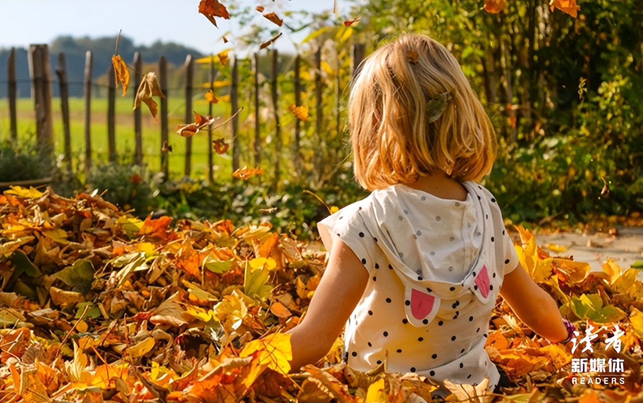 怎么看待爆火的半个猕猴桃事件,半颗猕猴桃事件评论