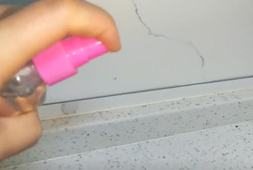 家里蟑螂太多怎么处理蟑螂,夏天蟑螂多教你一个小妙招