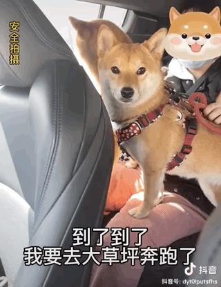 濂崇敓鍋氳揣鎷夋媺鍙告満,濂冲瀛愬仛鍙告満璺戣揣鎷夋媺