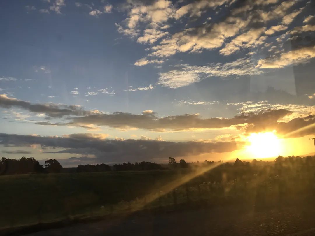 写给不被疫情束缚的心:用文字“云”游新西兰全境