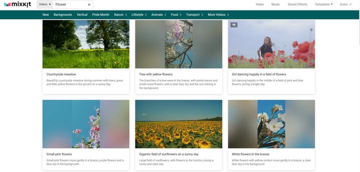 免费无版权素材网站有哪些,无版权全免费10个视频素材网站