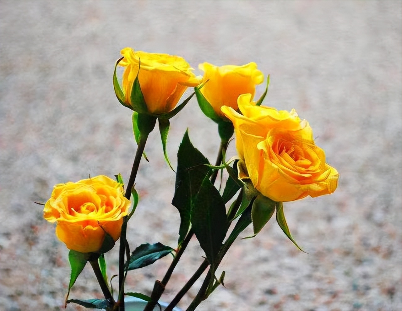 女人不自爱的底层逻辑,女人不自尊自爱的原因