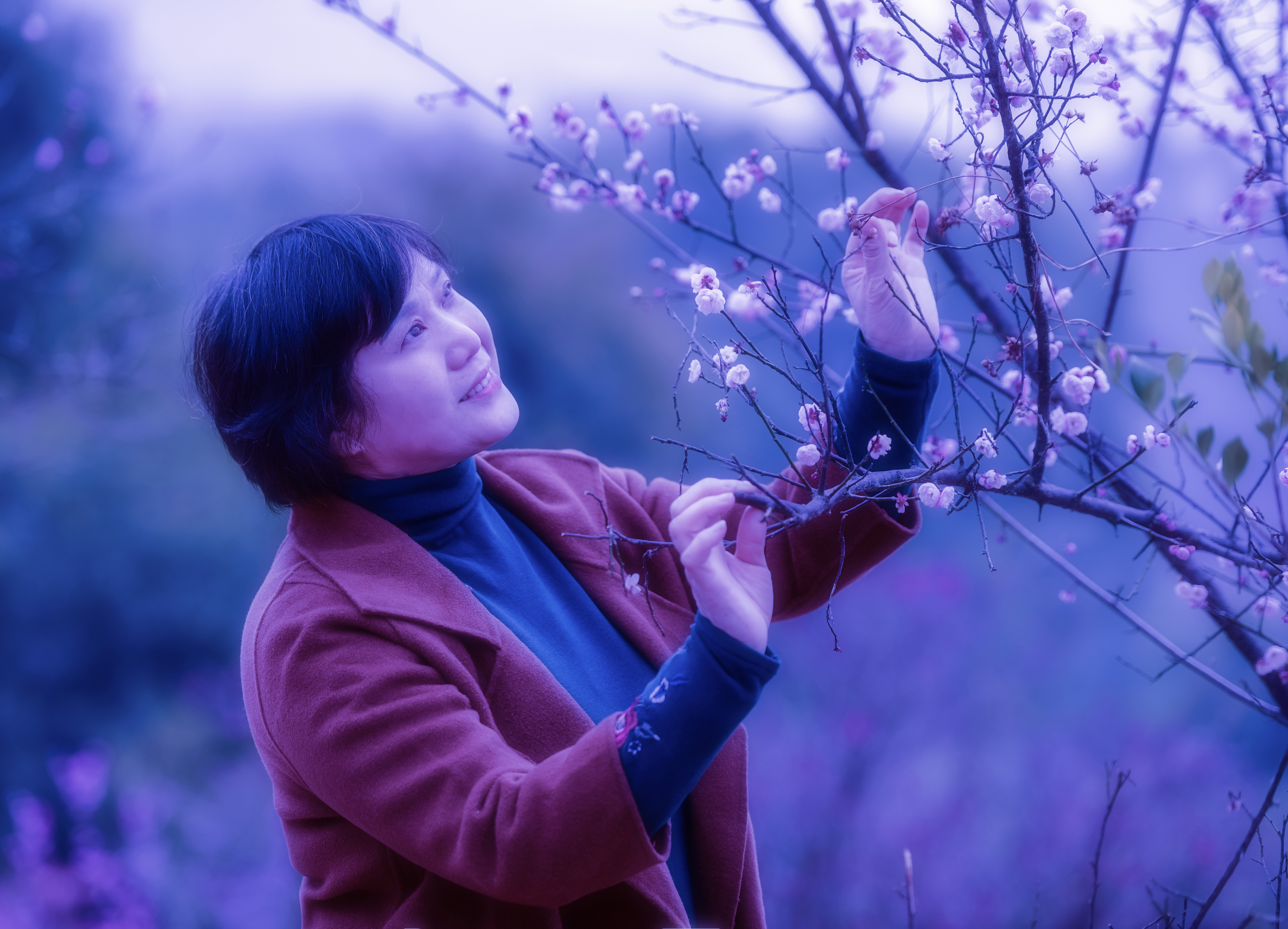 南昌赏梅好去处,南昌赏荷花的地方