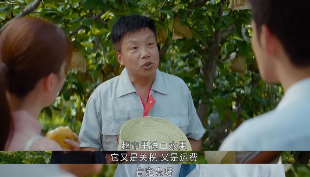 水果中的爱马仕多少钱,高端水果中的爱马仕