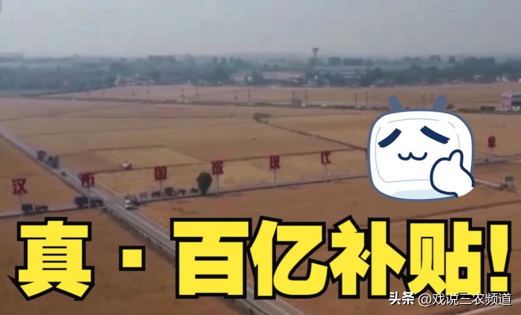 农民的种地补贴看看你能领多少,农民种地的补贴3月1号可以领了吗