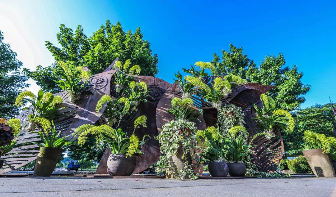 上海野生动物园端午节游玩门票,上海野生动物园年卡节假日