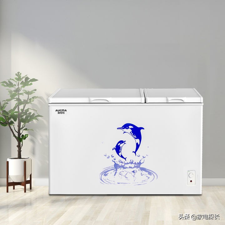 家庭速冻冷柜什么牌子好,冷柜怎么选牌子