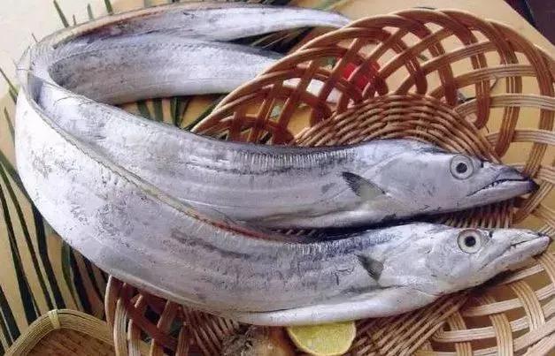 海鲜有什么品种的鱼类好吃,海鲜鱼类名字大全