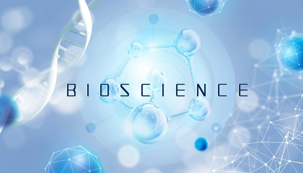 新康养观察|「守猪待兔」，华盖资本在医疗健康赛道做好慢生意