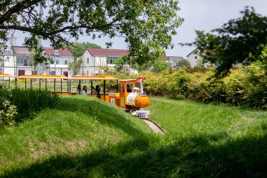 这个五一长假，闯进溧阳鹅村童话世界，做个快乐的大小“鹅”童