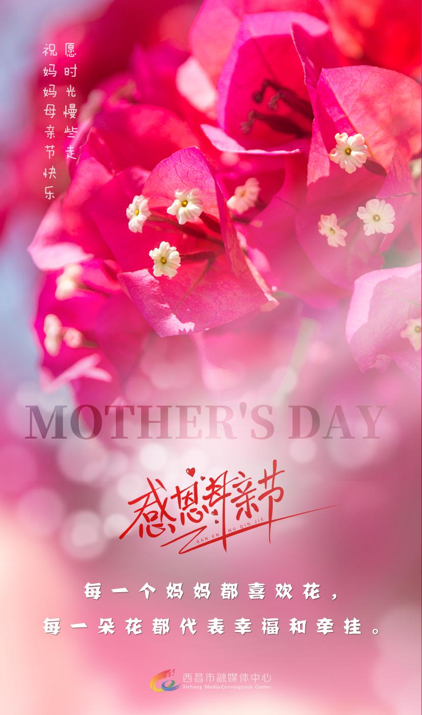 母亲节海报牛奶,母亲节海报