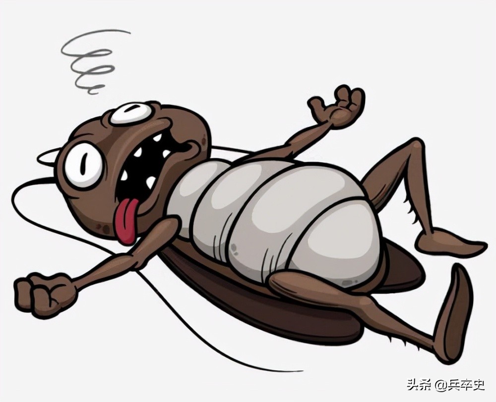 养蟑螂年入百亿,养8亿蟑螂年入百亿