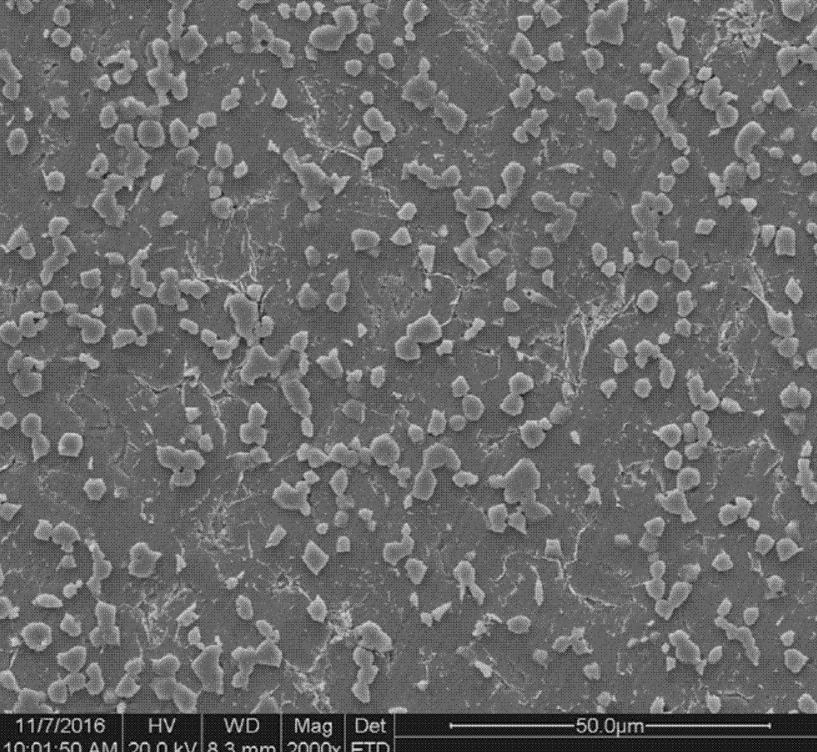 电磁搅拌对Sr变质体育器材用铝基复合材料的影响