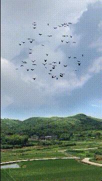 公公给我儿子看病图片,公公陪儿子输液哭了