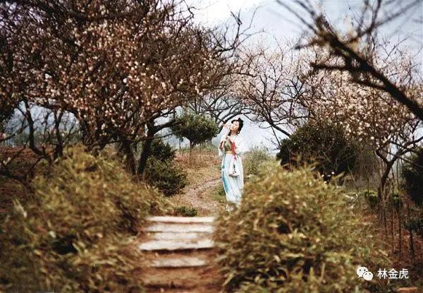 邂逅微信群里的风四娘，从唐诗宋词里走出来的侠女