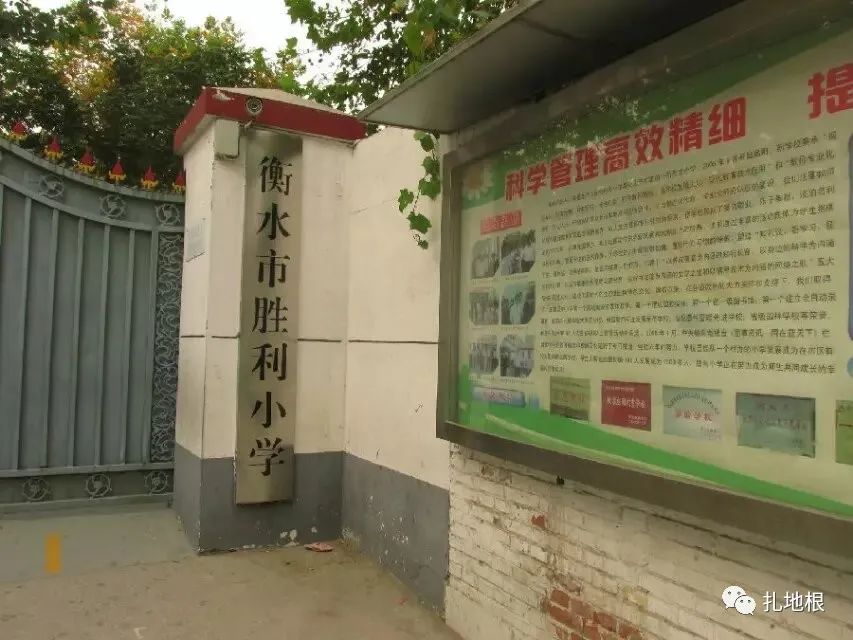 衡水市区比较好的小学有哪些,衡水公办小学有哪些